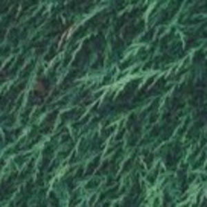 Meet your Posher, Samuel-david